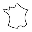 sav en français icon